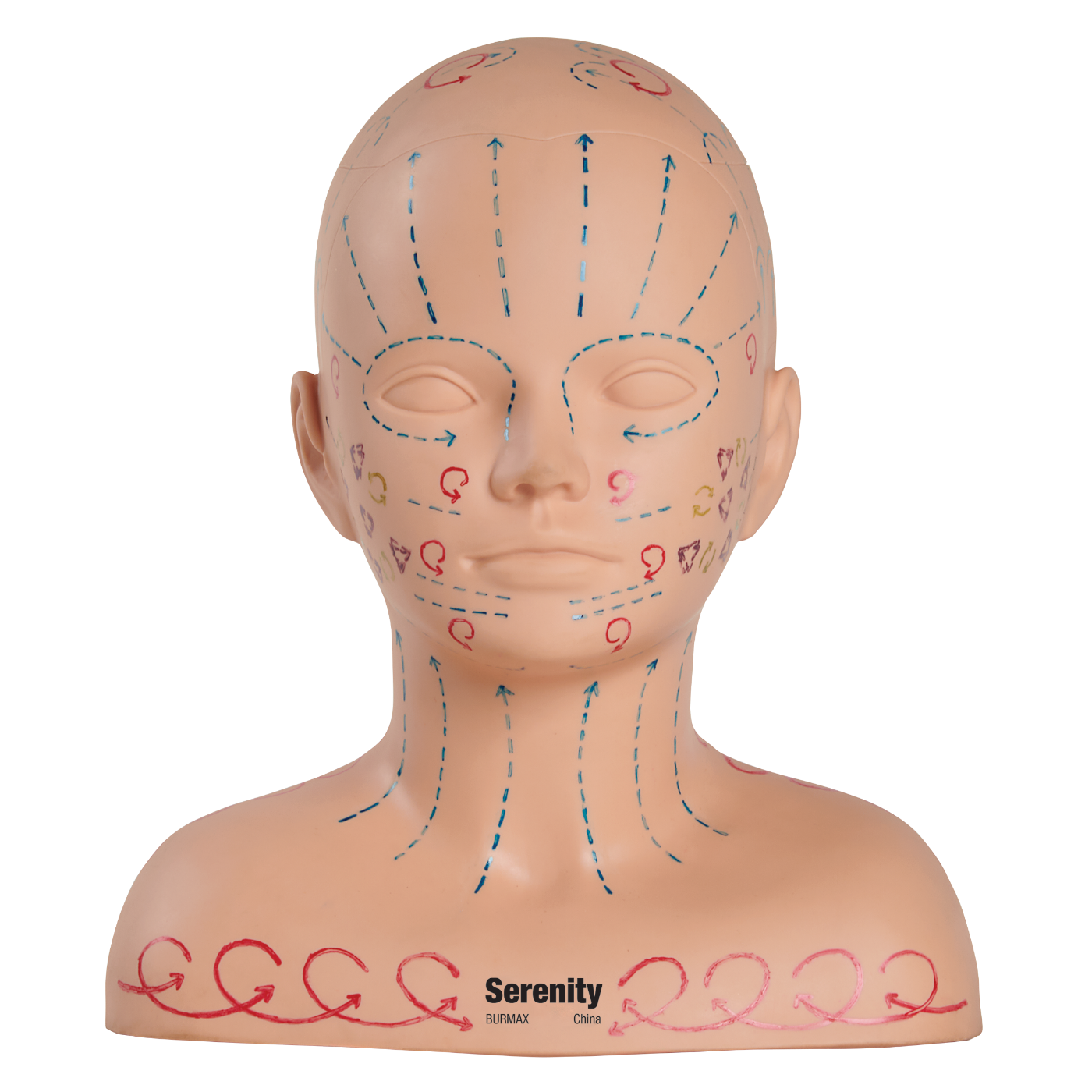 Massage Pressure Point Manikin