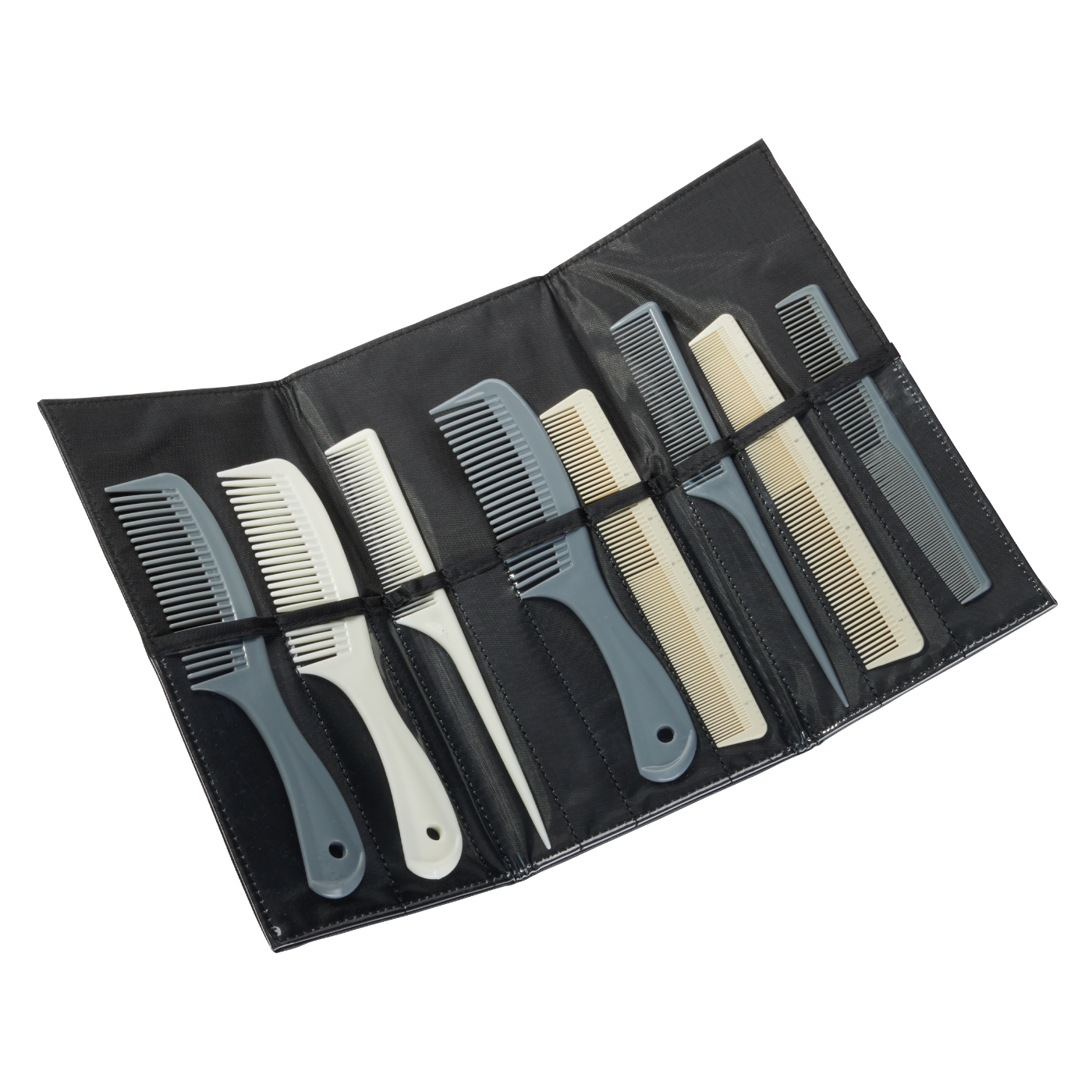 Professional Comb Case