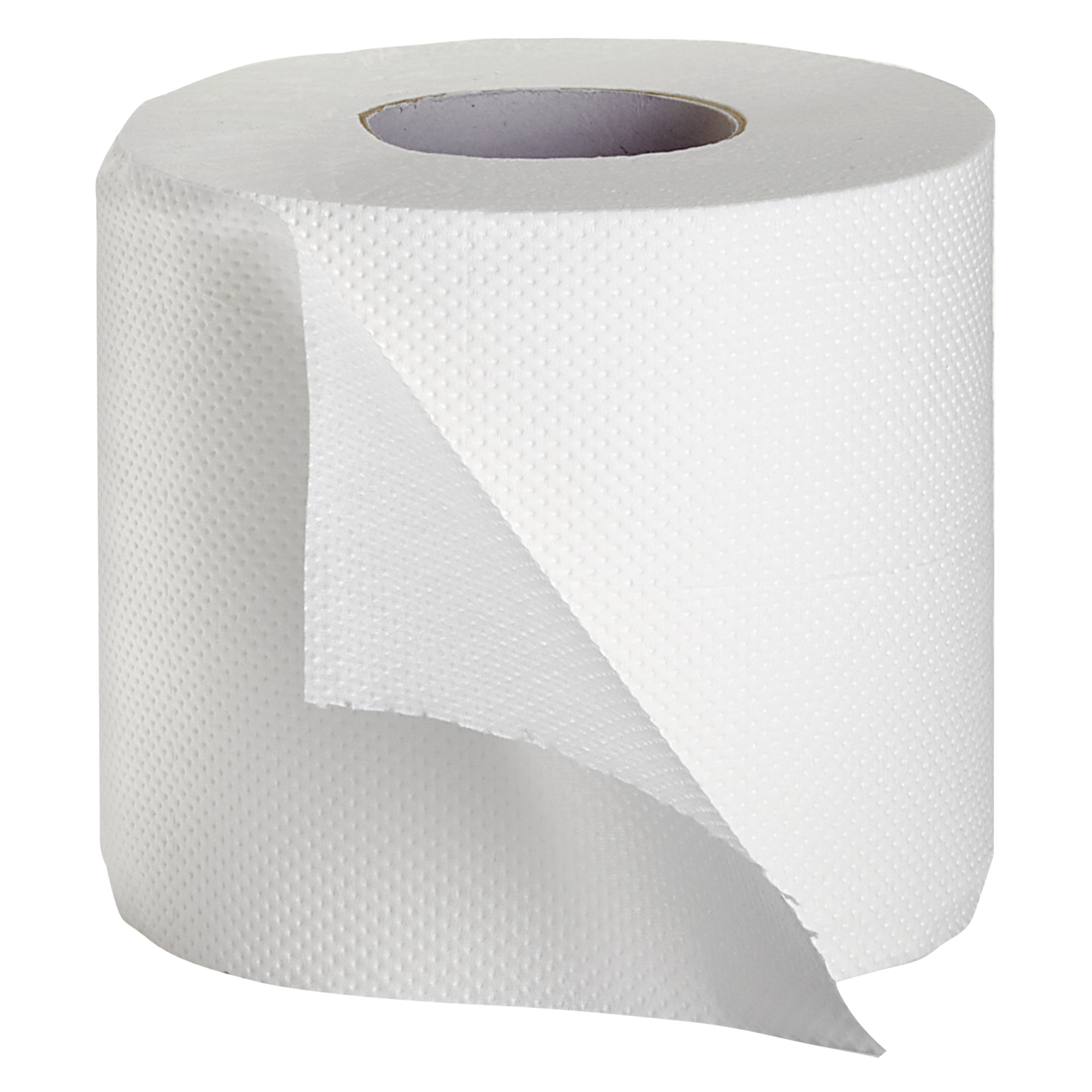 Toilet Paper - 400 Sheets