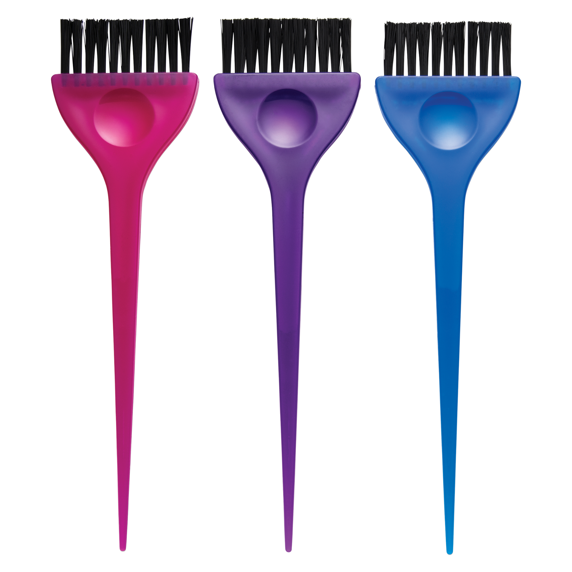 Translucent Hair Dye Brush Set