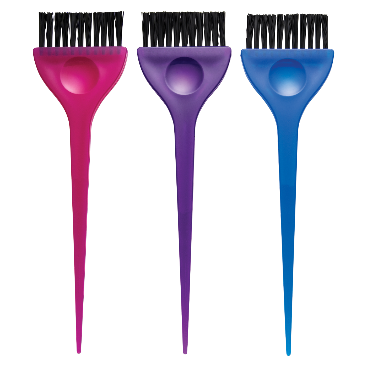 Translucent Hair Dye Brush Set