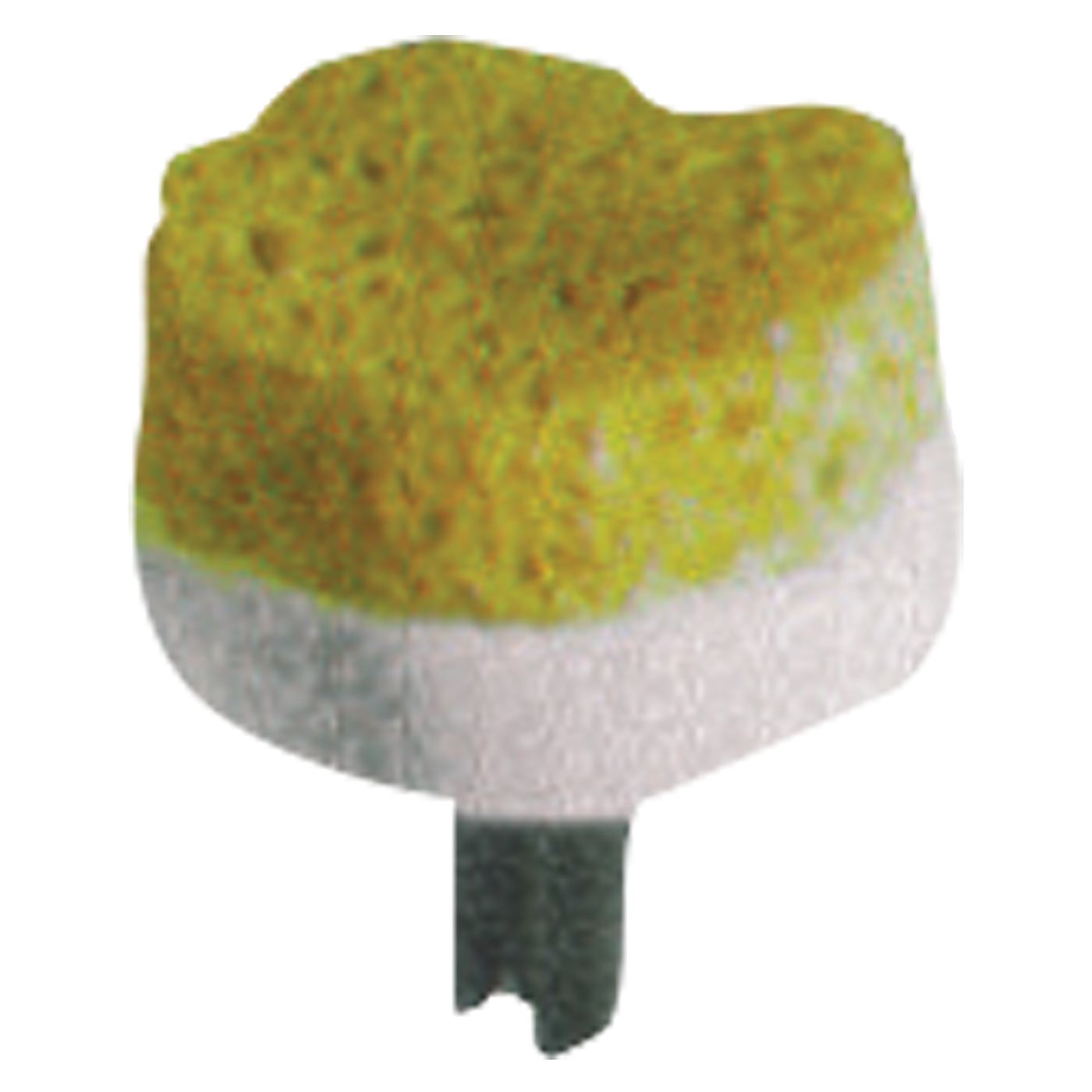 Sponge for 2510 Brush System - Livagen System
