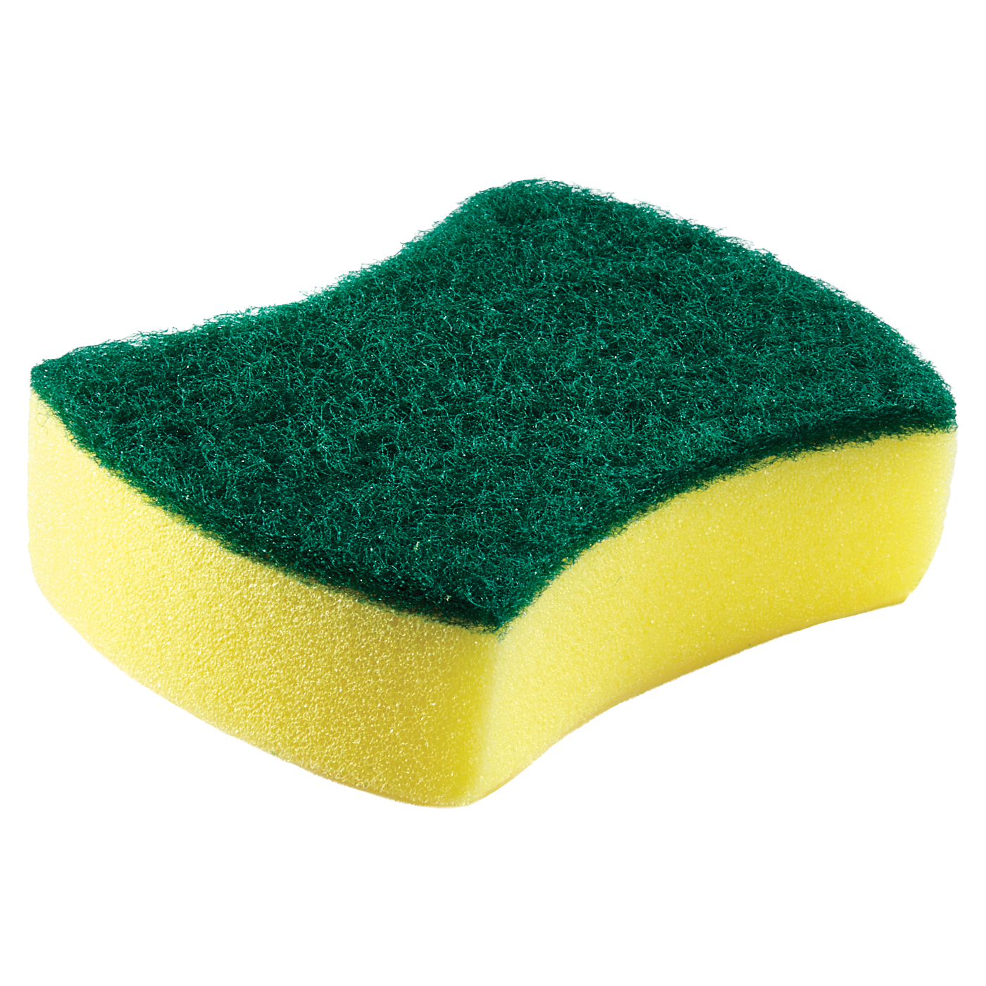 Scrub Sponge
