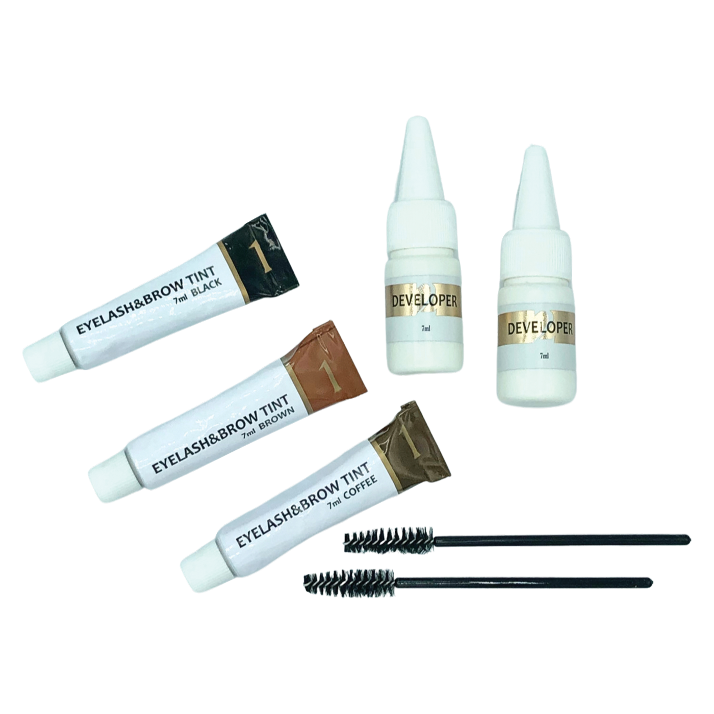Tint Training Kit