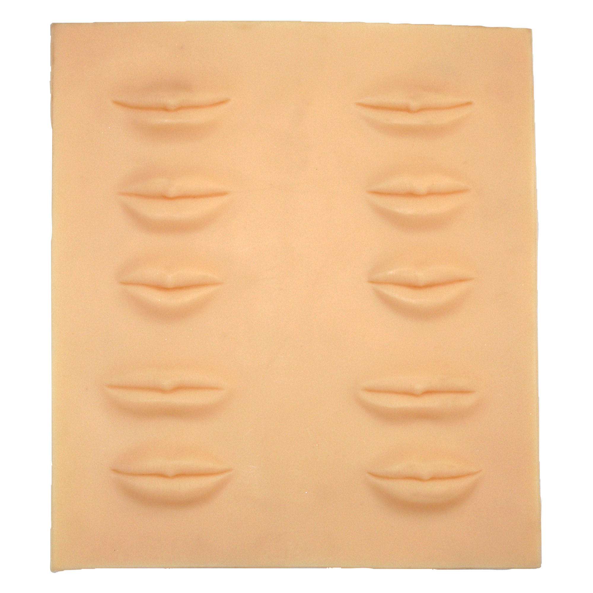 Lip Training Palette