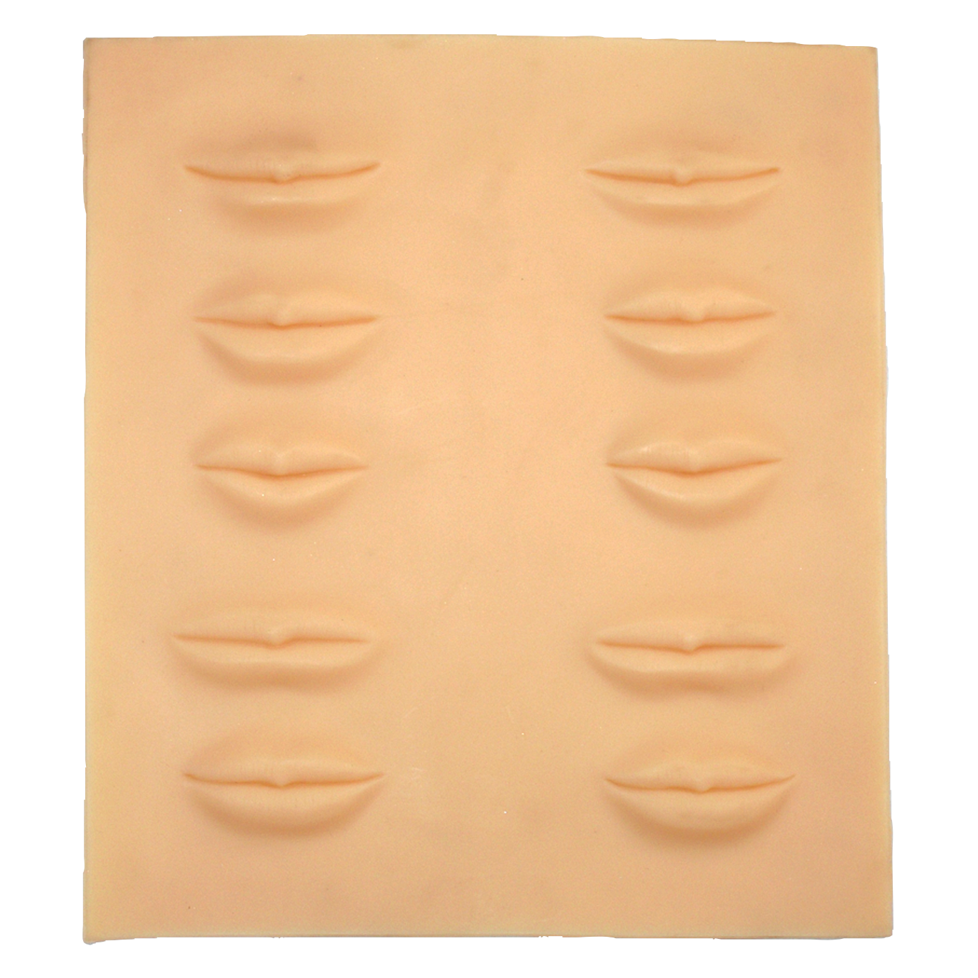 Lip Training Palette