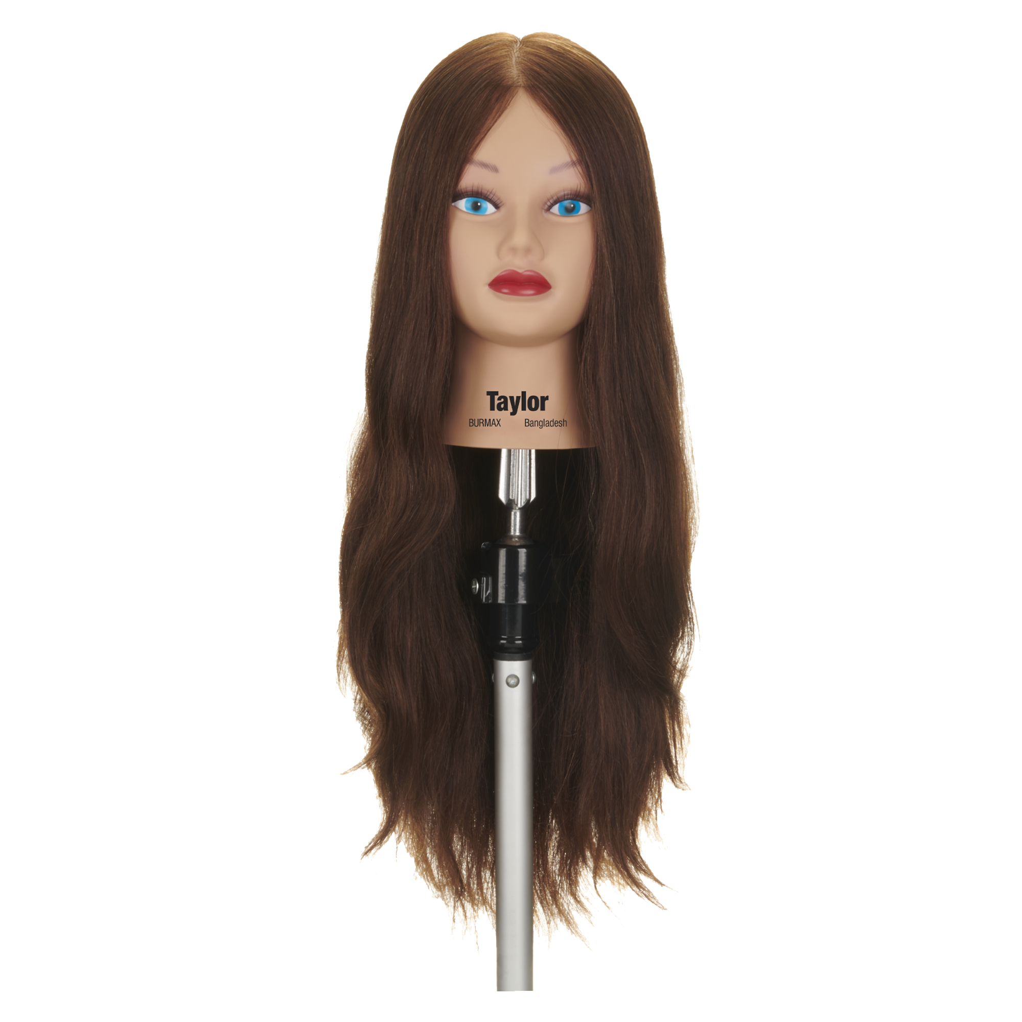 Taylor Manikin