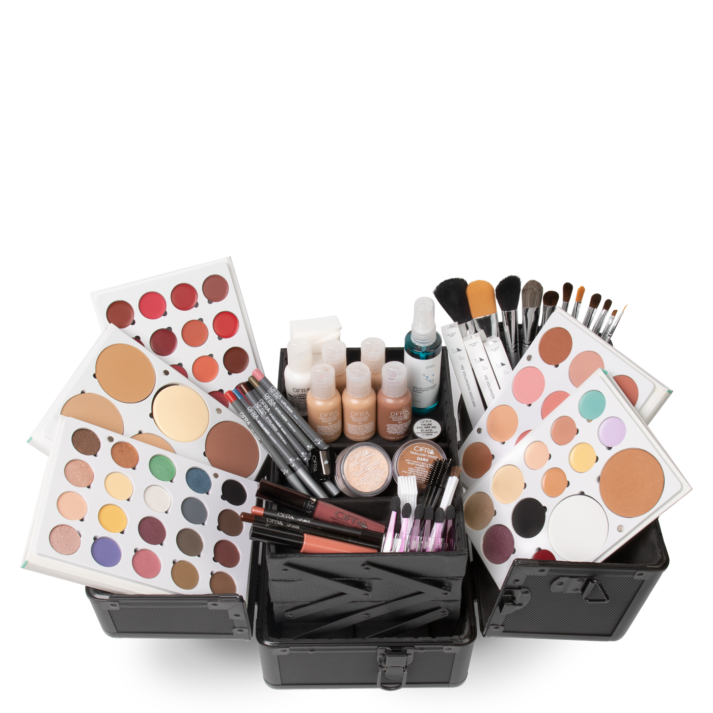 Professional Toolbox Makeup Case