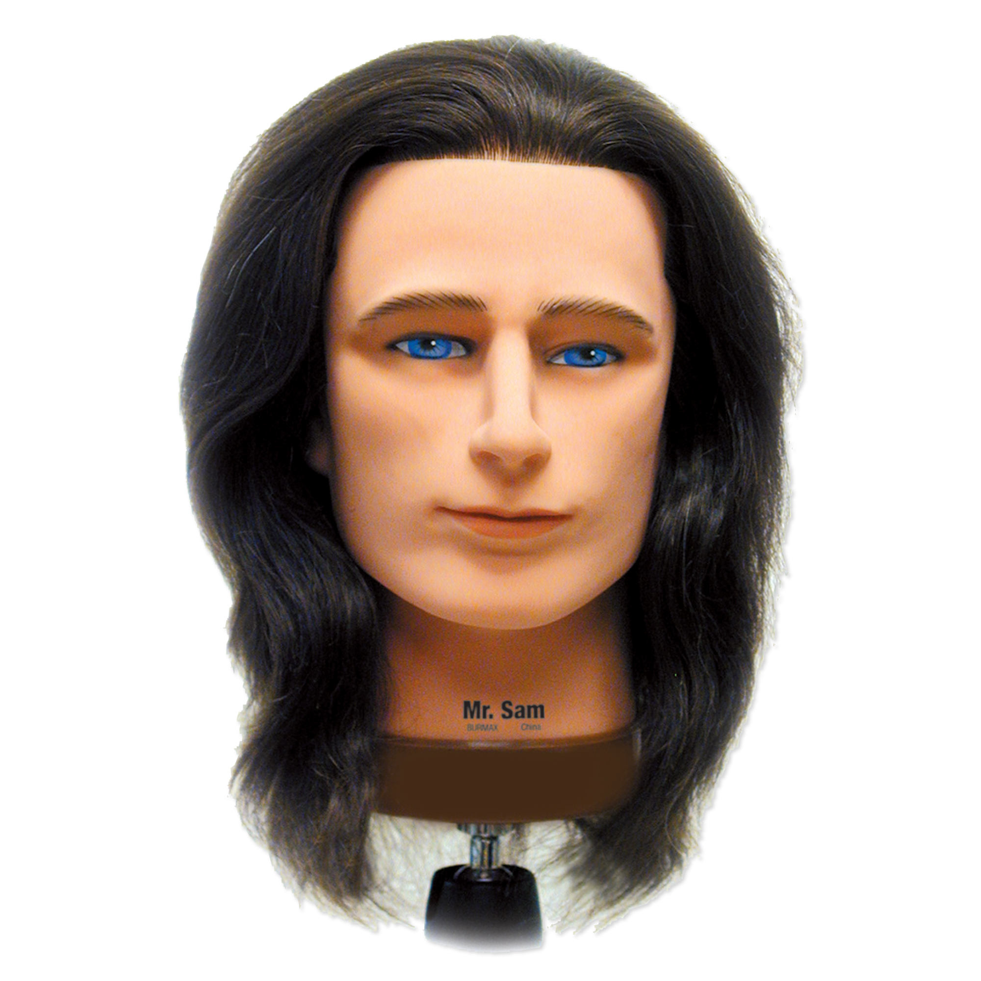 Mr. Sam Manikin