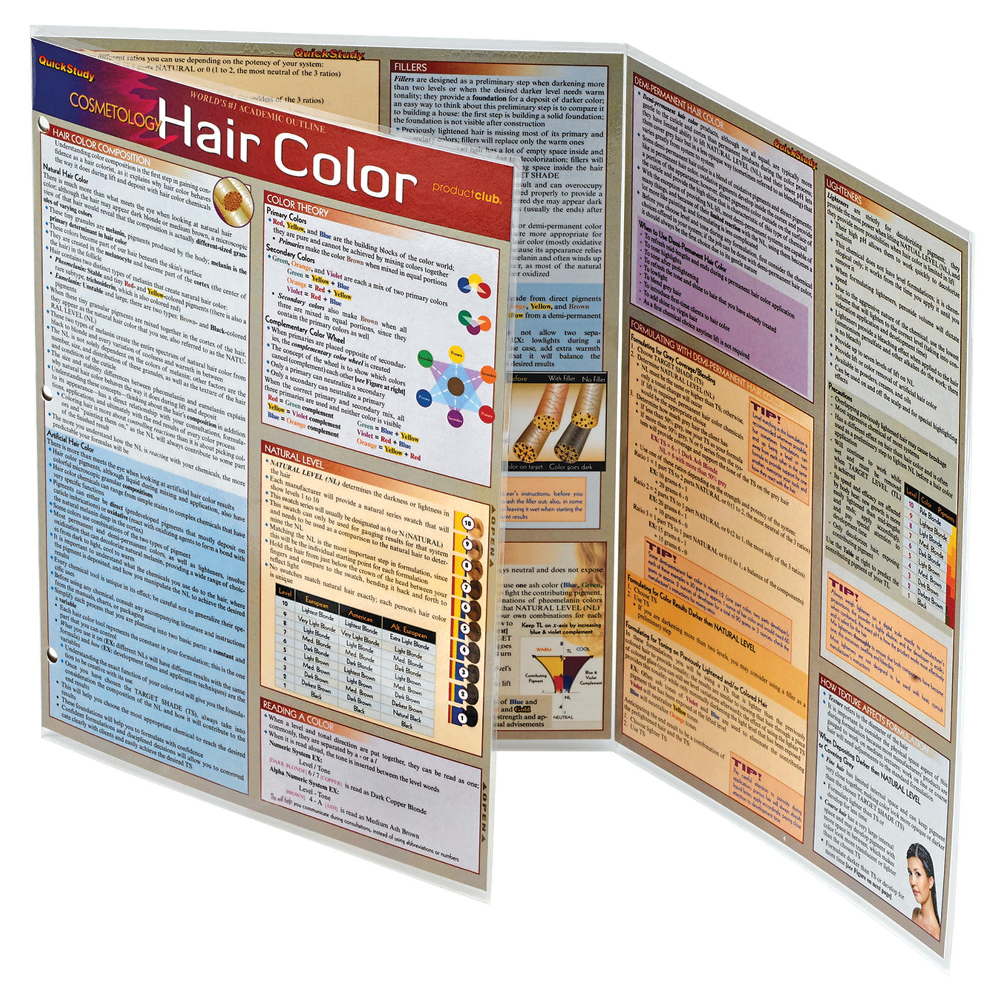 Quick Hair Color Study Guide