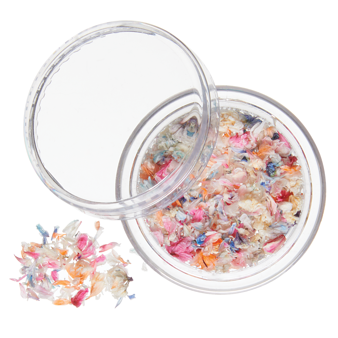 Dried Nail Art Flowers